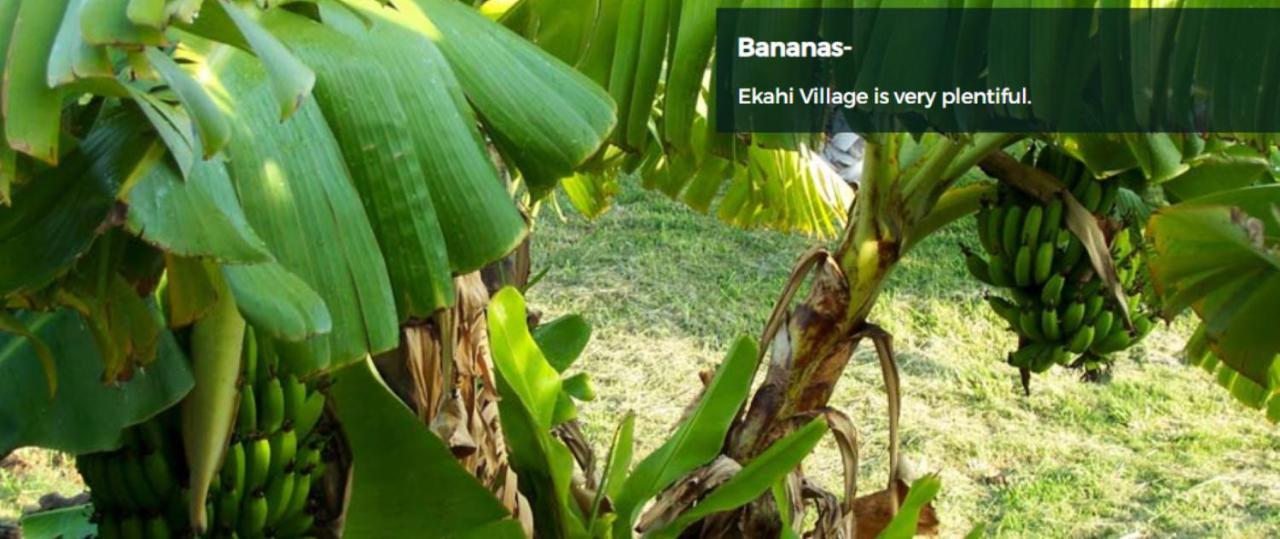 9B Ekahi Village-Studio Bath, Garden View - 1 Minute Stroll To Beach! Уайлеа Екстериор снимка